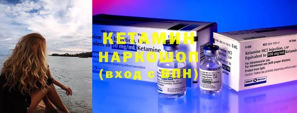индика Надым