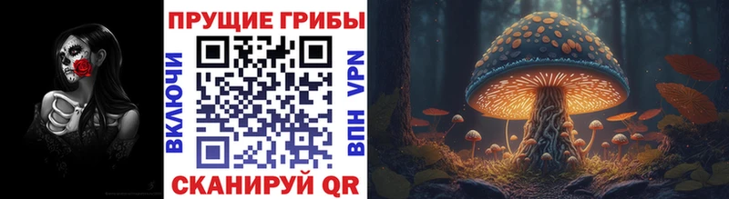 Галлюциногенные грибы Psilocybine cubensis  ОМГ ОМГ онион  Цоци-Юрт 