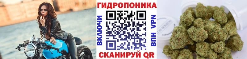 Бошки марихуана MAZAR  Цоци-Юрт 